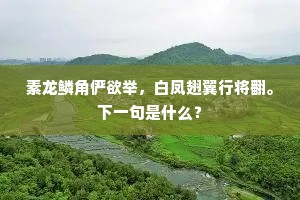 素龙鳞角俨欲举，白凤翅翼行将翻。下一句是什么？