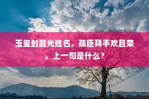 玉玺封题光姓名，孤臣拜手欢且荣。上一句是什么？
