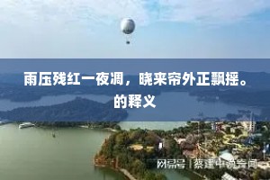 雨压残红一夜凋，晓来帘外正飘摇。的释义