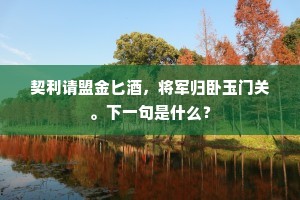 契利请盟金匕酒，将军归卧玉门关。下一句是什么？