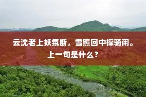 云沈老上妖氛断，雪照回中探骑闲。上一句是什么？