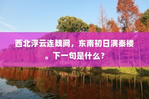 西北浮云连魏阙，东南初日满秦楼。下一句是什么？