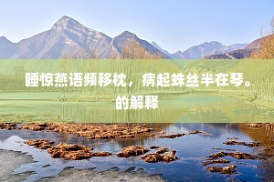 睡惊燕语频移枕，病起蛛丝半在琴。的解释