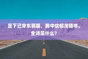 足下已穿东郭履，胸中犹郁茂陵书。全诗是什么？