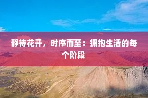 静待花开，时序而至：拥抱生活的每个阶段