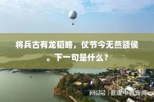 将兵古有龙韬略，仗节今无燕颔侯。下一句是什么？