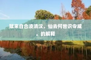 赋来自合凌清汉，仙去何曾识令威。的解释