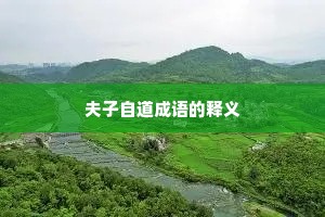 夫子自道成语的释义