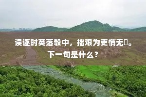 误逐时英落彀中，拙艰为吏悄无悰。下一句是什么？