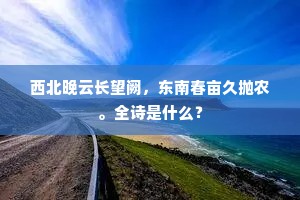 西北晚云长望阙，东南春亩久抛农。全诗是什么？