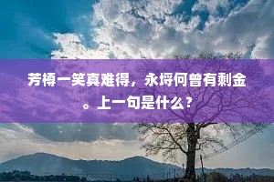 芳樽一笑真难得，永埒何曾有剩金。上一句是什么？