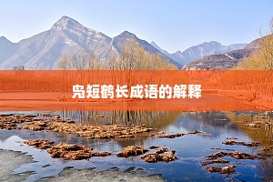 凫短鹤长成语的解释