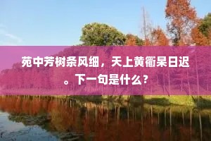 苑中芳树条风细，天上黄衢杲日迟。下一句是什么？