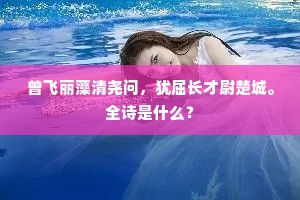 曾飞丽藻清尧问，犹屈长才尉楚城。全诗是什么？