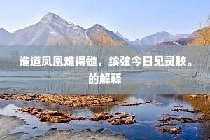 谁道凤凰难得髓，续弦今日见灵胶。的解释