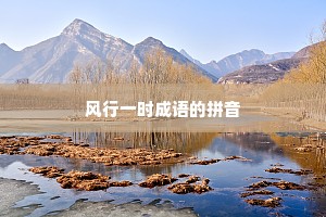 风行一时成语的拼音