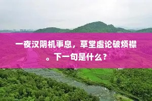 一夜汉阴机事息，草堂虚论破烦襟。下一句是什么？