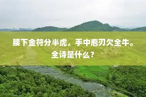 腰下金符分半虎，手中庖刃欠全牛。全诗是什么？