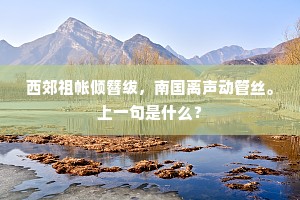 西郊祖帐倾簪绂，南国离声动管丝。上一句是什么？