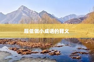 服低做小成语的释义