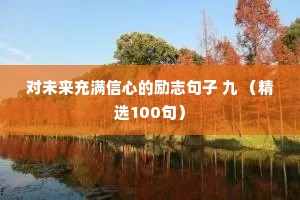 对未来充满信心的励志句子 九 （精选100句）