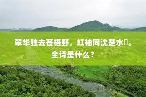 翠华独去苍梧野，红袖同沈楚水濆。全诗是什么？