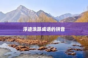 浮迹浪踪成语的拼音