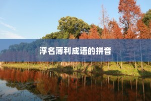 浮名薄利成语的拼音