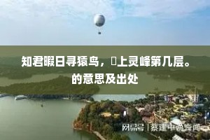知君暇日寻猿鸟，閒上灵峰第几层。的意思及出处