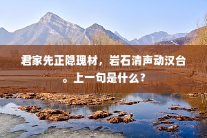 君家先正隐瑰材，岩石清声动汉台。上一句是什么？