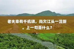 老夫幸有千机锦，尚欠江头一浣新。上一句是什么？