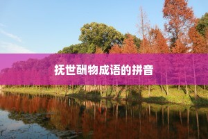 抚世酬物成语的拼音