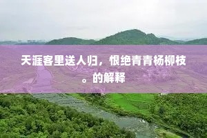 天涯客里送人归，恨绝青青杨柳枝。的解释