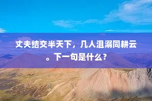 丈夫结交半天下，几人沮溺同耕云。下一句是什么？