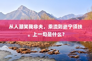 从人潮笑我非夫，乘流则逝宁须扶。上一句是什么？