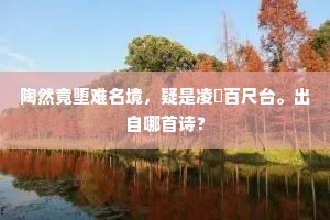 陶然竟堕难名境，疑是凌歊百尺台。出自哪首诗？