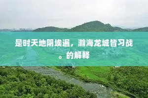 是时天地阴埃遍，瀚海龙城皆习战。的解释