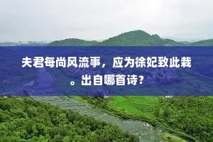 夫君每尚风流事，应为徐妃致此栽。出自哪首诗？