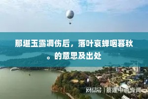 那堪玉露凋伤后，落叶哀蝉咽暮秋。的意思及出处