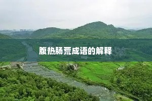 腹热肠荒成语的解释