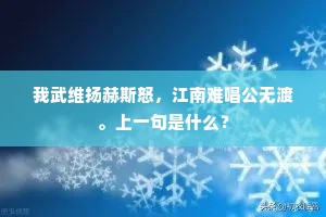 我武维扬赫斯怒，江南难唱公无渡。上一句是什么？