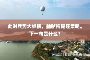 此时兵势大纵横，舳舻衔尾窥崇明。下一句是什么？