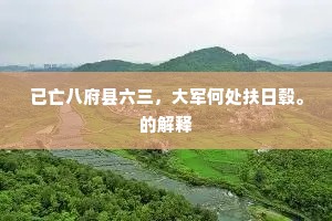 已亡八府县六三，大军何处扶日毂。的解释