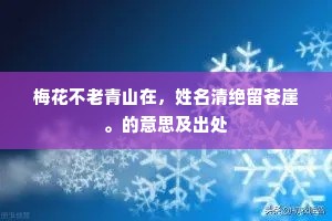 梅花不老青山在，姓名清绝留苍崖。的意思及出处