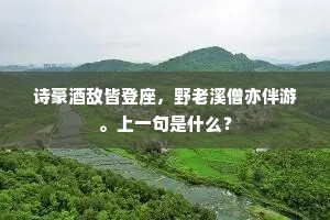 诗豪酒敌皆登座，野老溪僧亦伴游。上一句是什么？
