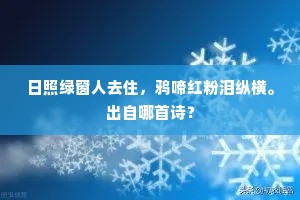 日照绿窗人去住，鸦啼红粉泪纵横。出自哪首诗？