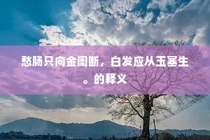 愁肠只向金闺断，白发应从玉塞生。的释义