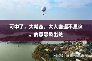 可中了，大希奇，大人幽邃不思议。的意思及出处
