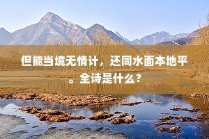但能当境无情计，还同水面本地平。全诗是什么？