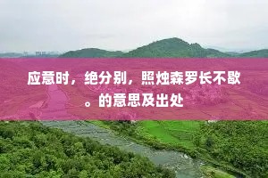 应意时，绝分别，照烛森罗长不歇。的意思及出处